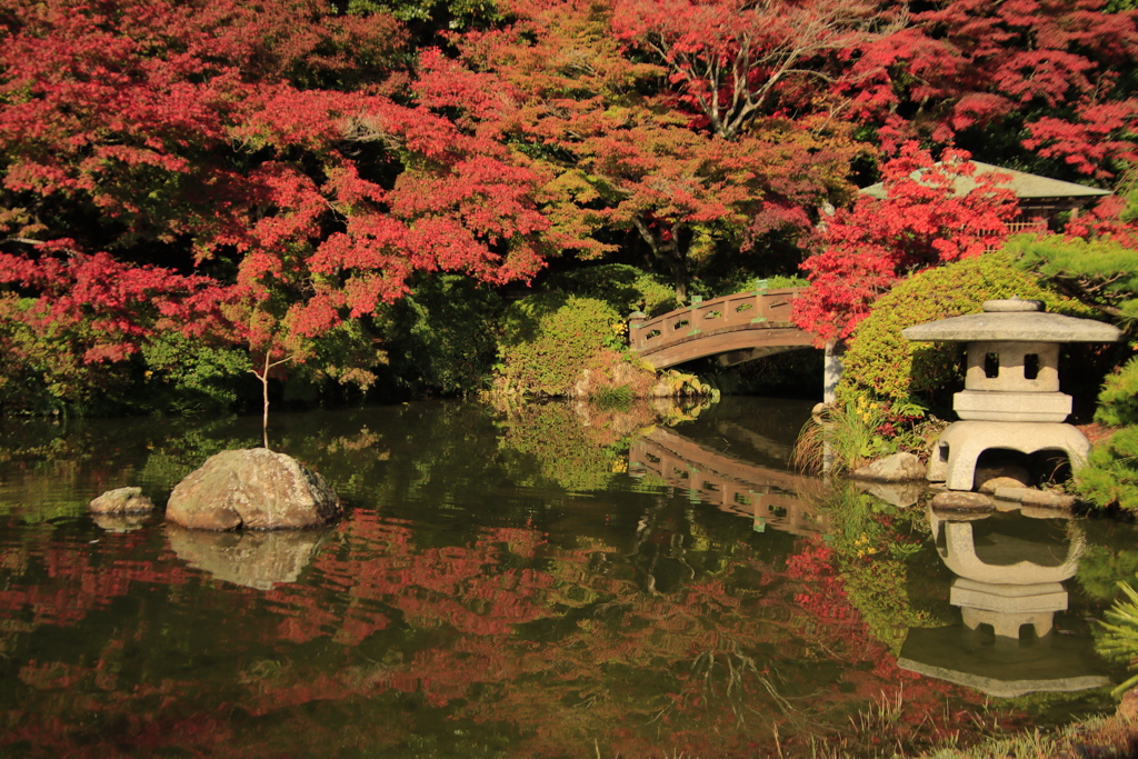 長府庭園紅葉