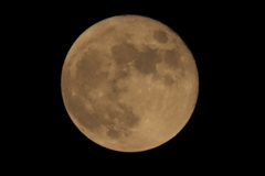 ハンターズムーン