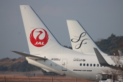 JAL,SF尾翼マーク