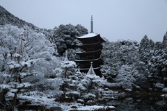 雪の五重塔