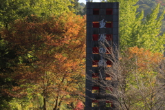 重源の郷紅葉１