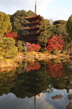 瑠璃光寺の紅葉