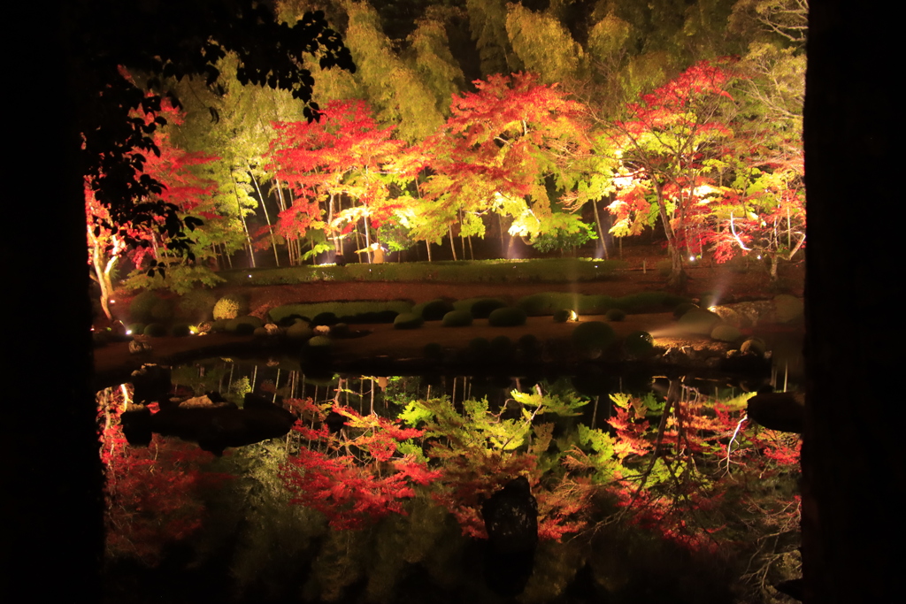 雪舟庭紅葉ライトアップ2