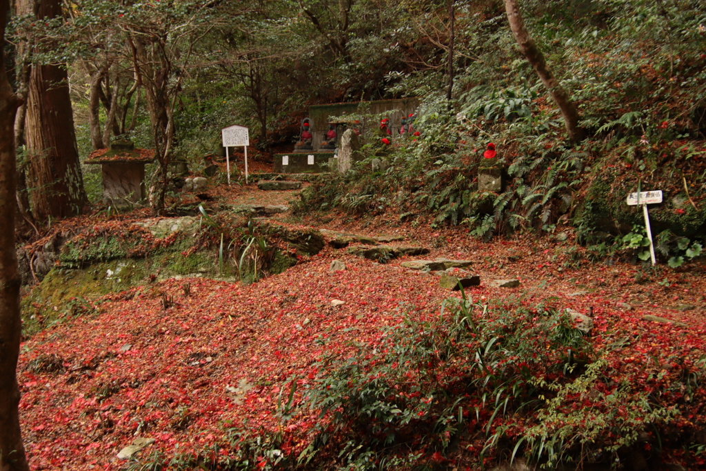 お地蔵様と落葉
