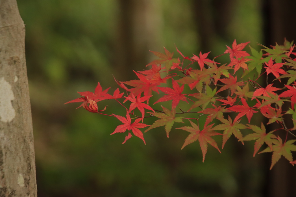 これから始まる