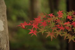 これから始まる