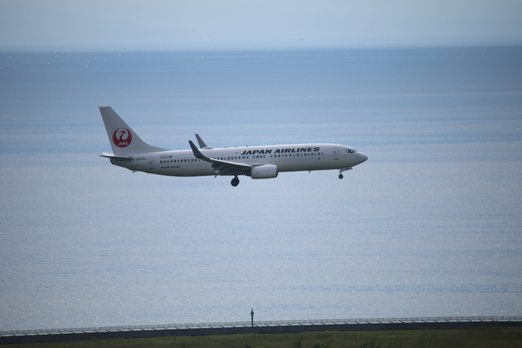着陸態勢