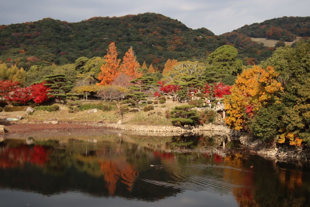 毛利庭園紅葉3