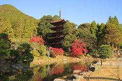 瑠璃光寺五重塔と紅葉