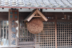 すぎたまと昔ながらの看板
