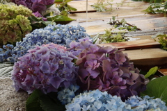 花手水10