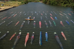 佐波川こいながし