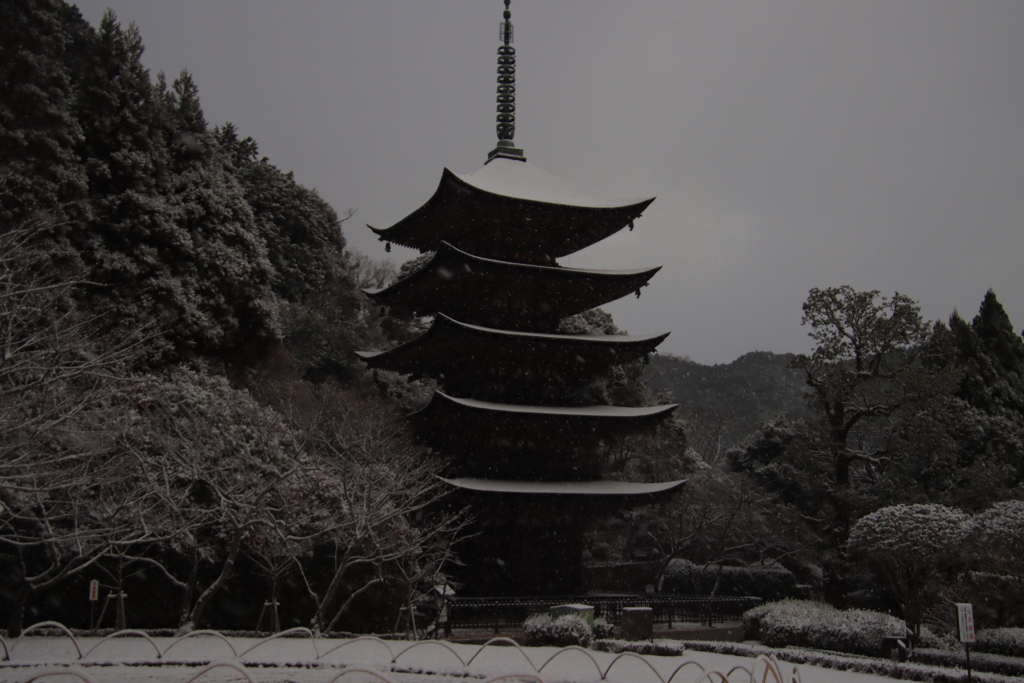 うっすら雪化粧2