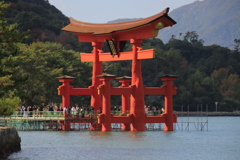 厳島大鳥居