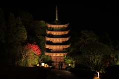 夜の瑠璃光寺五重の塔2