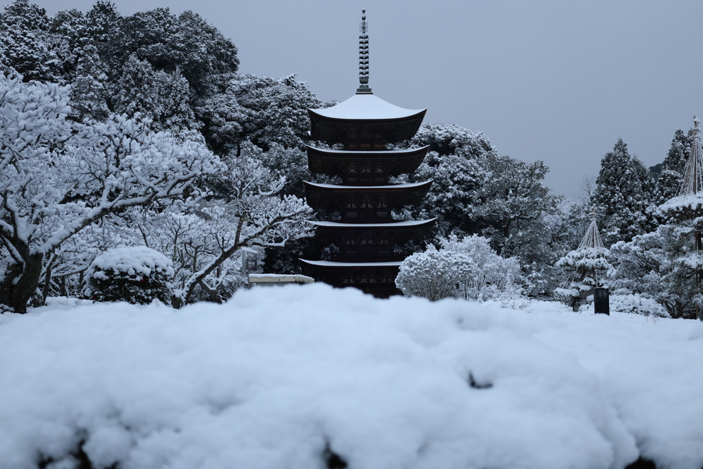 雪の五重塔6