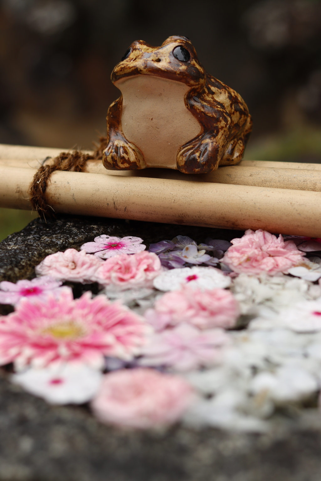 花手水とカエル1