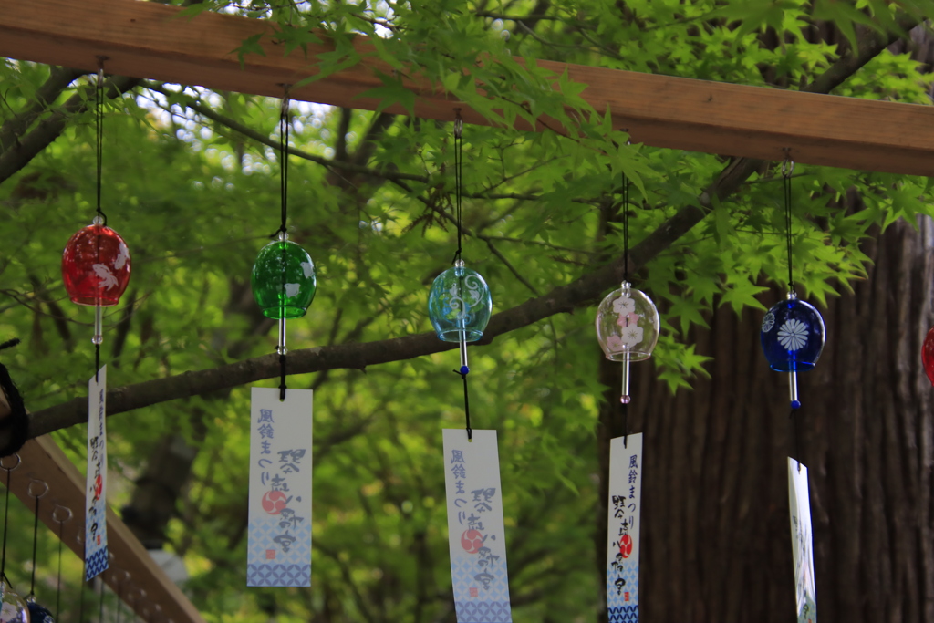 風鈴と青もみじ