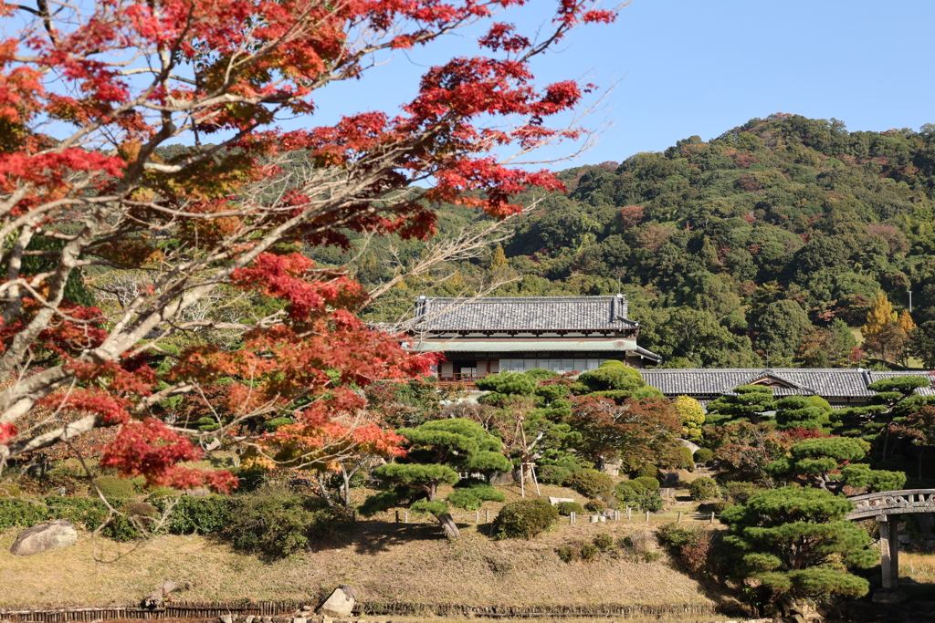 毛利邸の紅葉