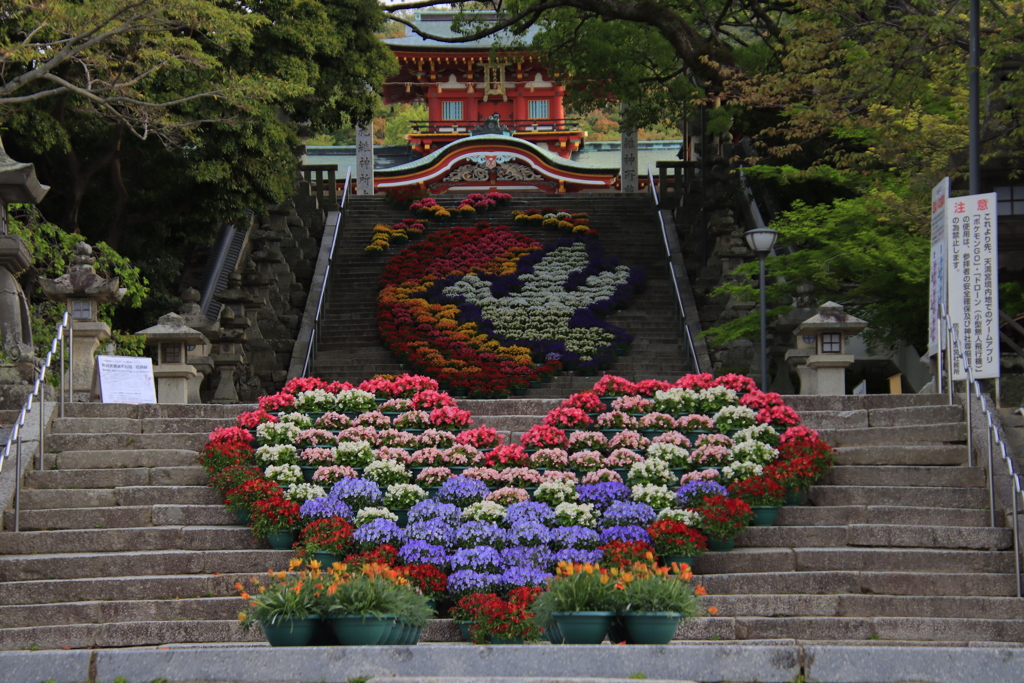 防府天満宮花回廊2