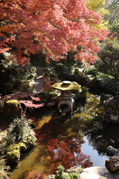 堀氏庭園紅葉2