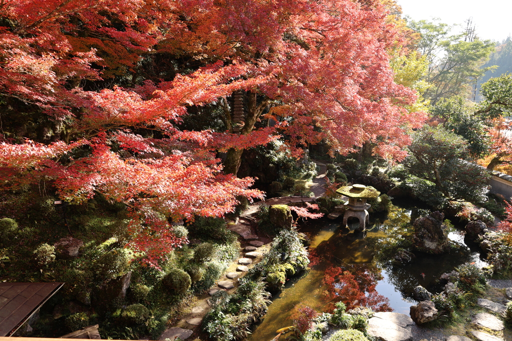 堀氏庭園紅葉4