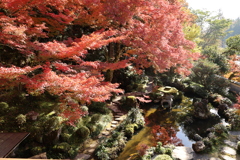 堀氏庭園紅葉4