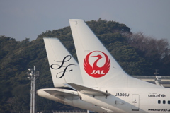 JAL,SF尾翼マーク2