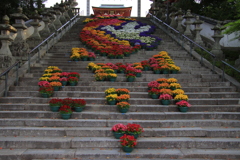 防府天満宮花回廊1