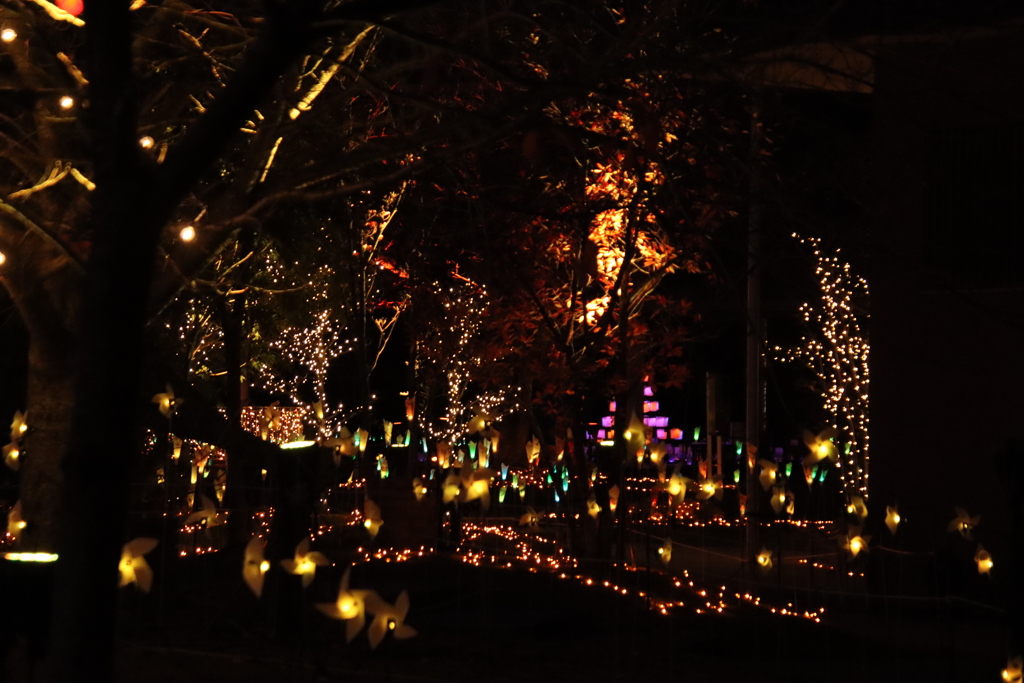 常盤ファンタジア2024-5