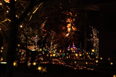 常盤ファンタジア2024-5