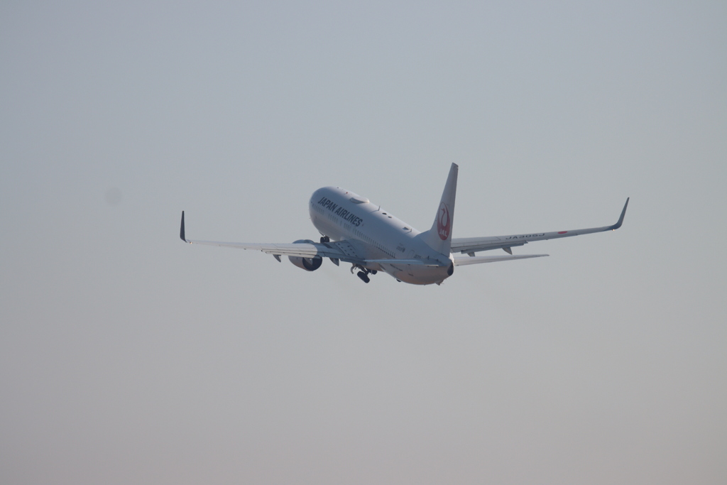 JAL機離陸4