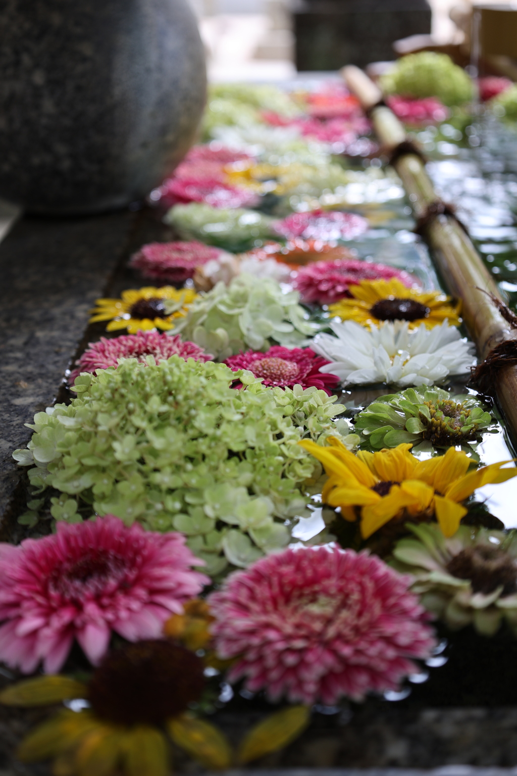 花手水3