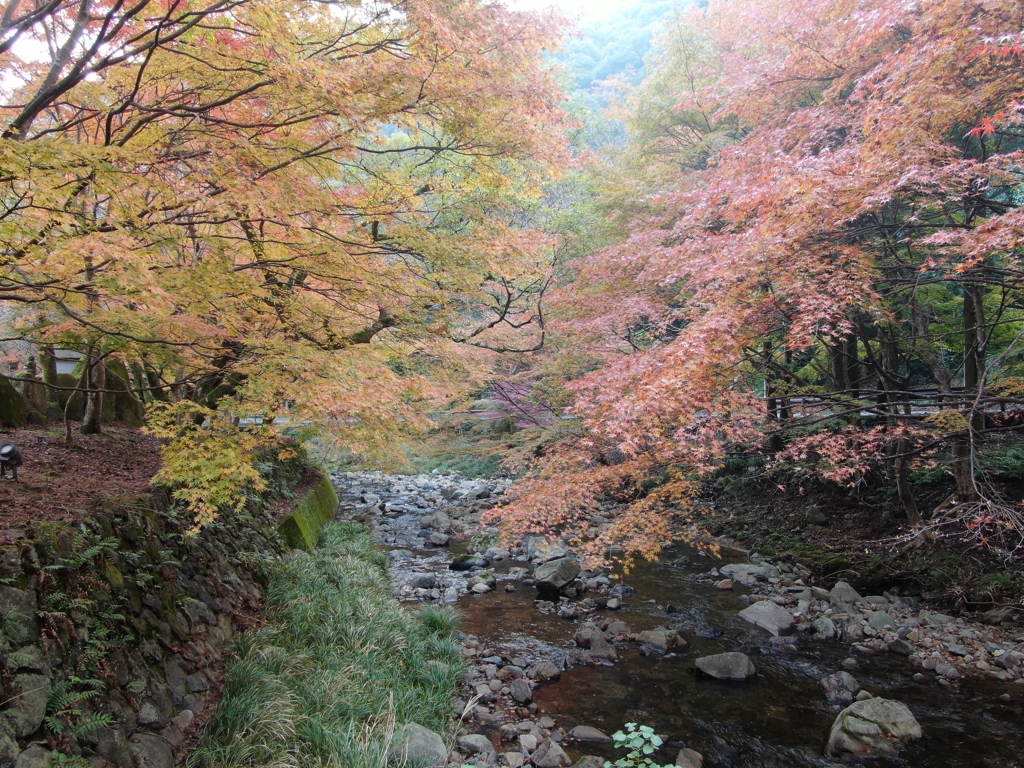 大寧寺紅葉3