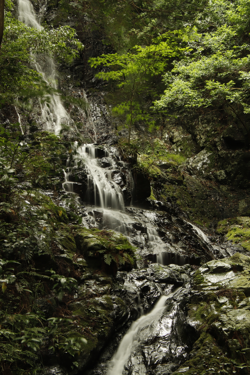 錦鶏の滝　女滝2