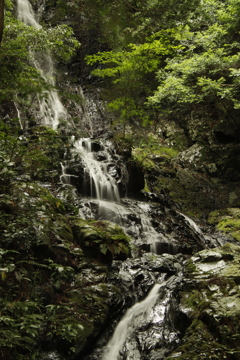 錦鶏の滝　女滝2