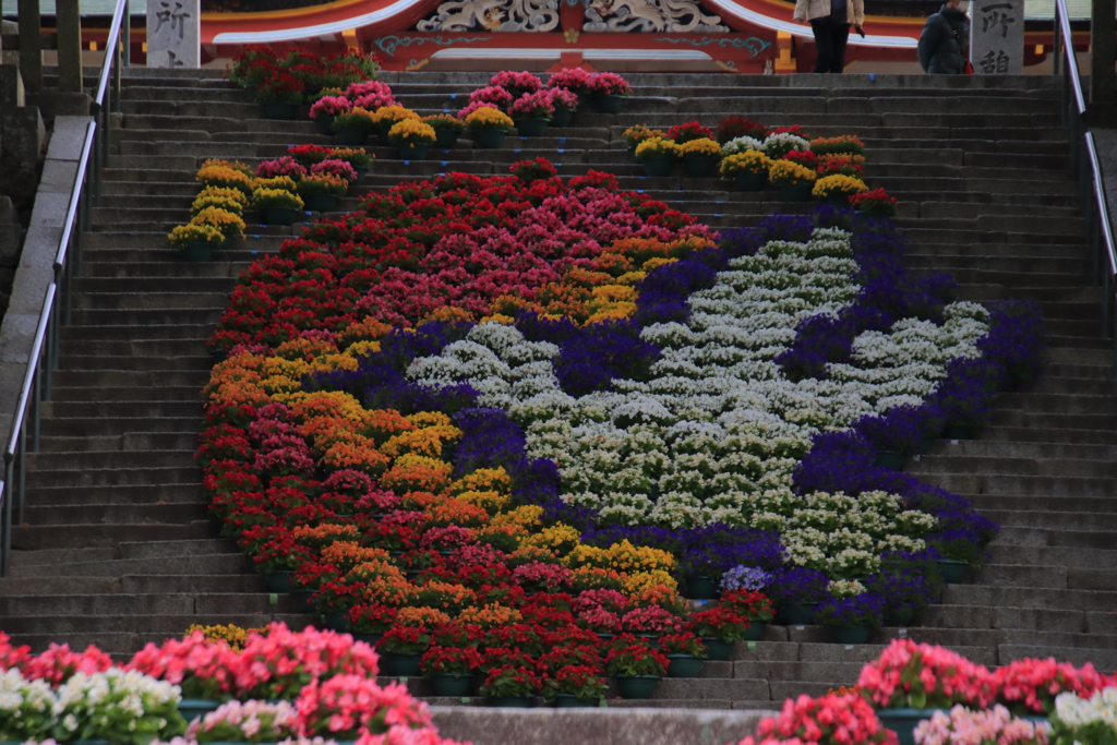 防府天満宮花回廊4