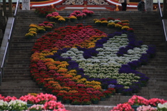 防府天満宮花回廊4