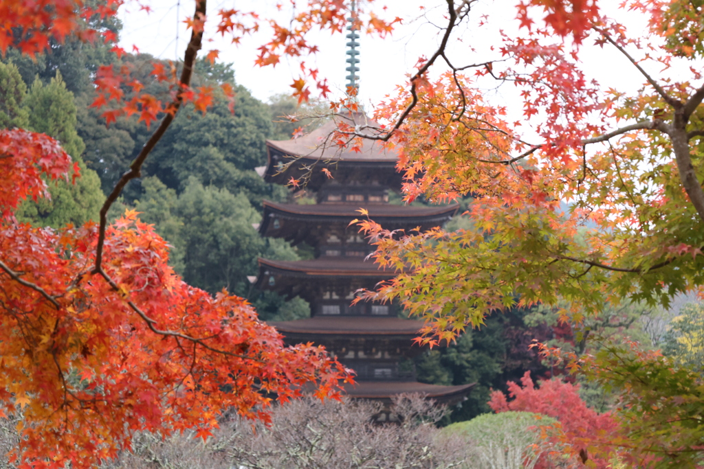 五重塔紅葉2