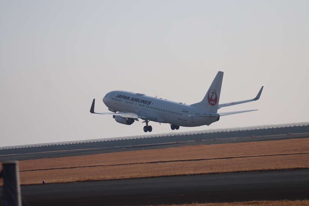 JAL機離陸2