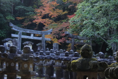 東光寺の紅葉