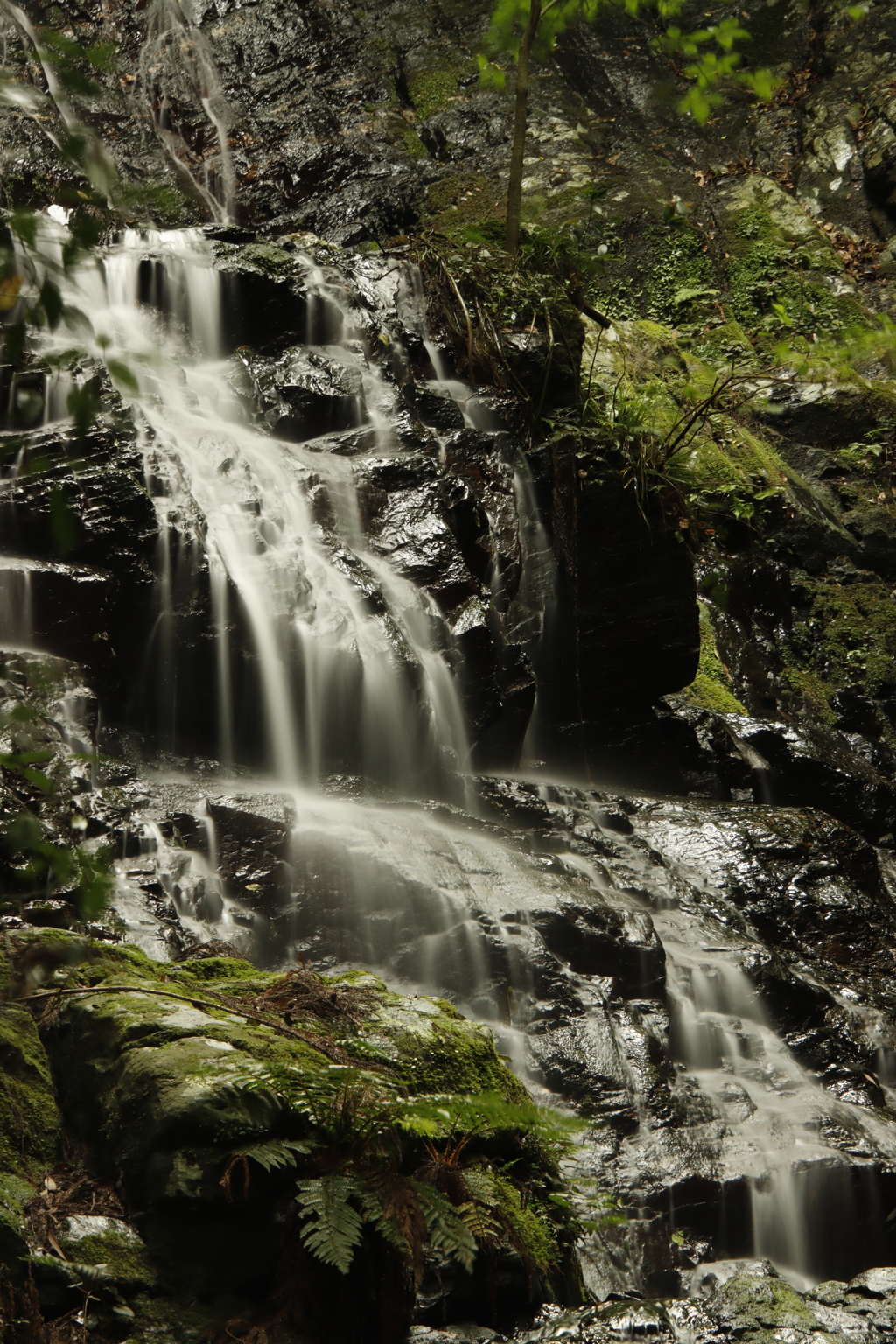 錦鶏の滝　女滝1