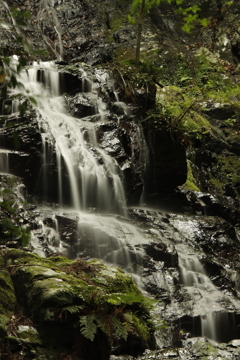 錦鶏の滝　女滝1