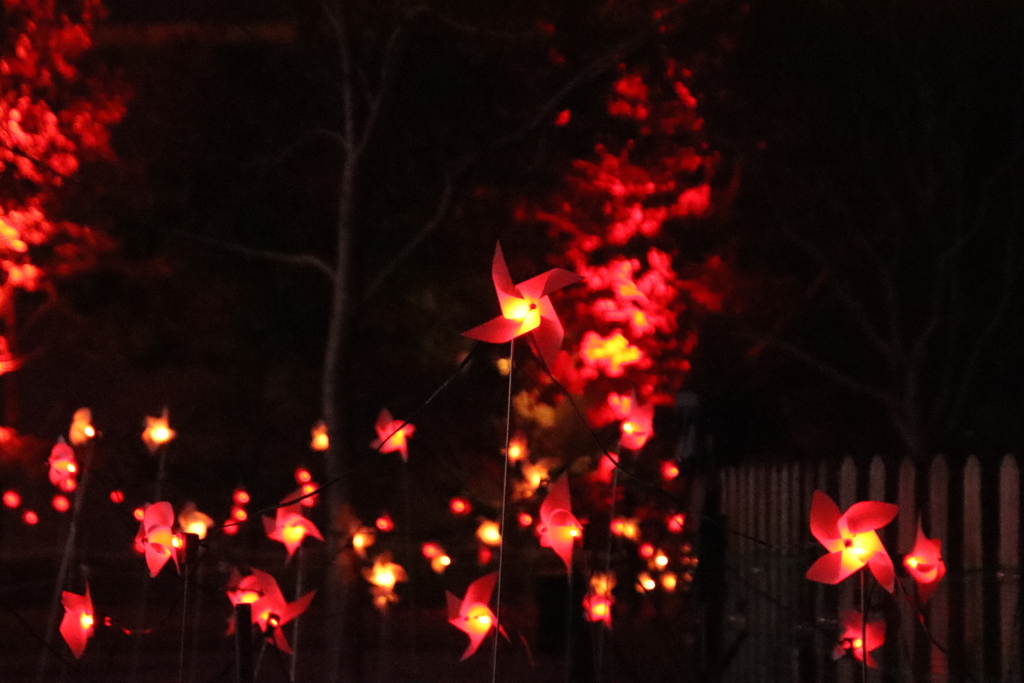 常盤ファンタジア2024-4