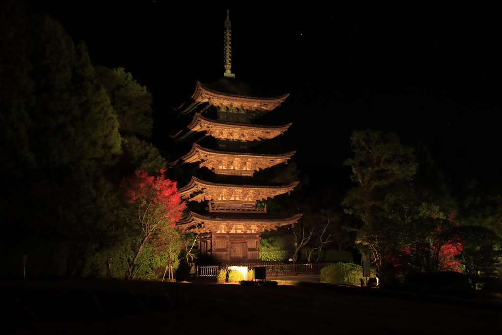 夜の瑠璃光寺五重の塔3