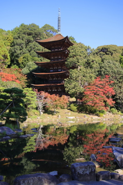 瑠璃光寺五重塔