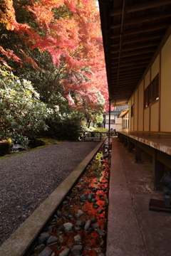 漢陽寺紅葉7