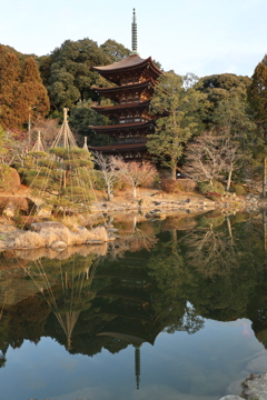 朝日を浴びた五重塔