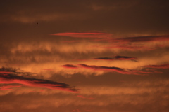 ８.11夕焼け1