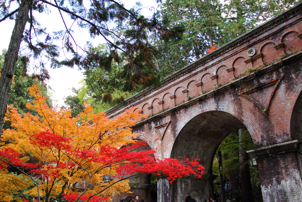 南禅寺の紅葉